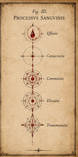 Fig. III — Processus Sanguinis.